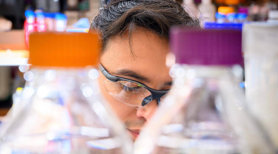 A researcher is shown in a Notre Dame lab