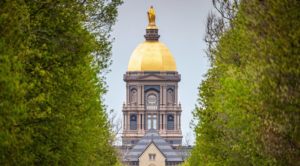 The Golden Dome framed by green trees