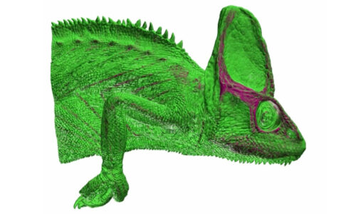 Computer scientist Chaoli Wang democratizes 3D visualization with new software system 